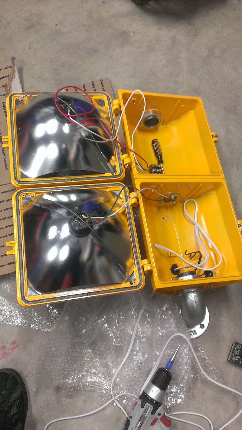 Eagle Don't Walk Sign