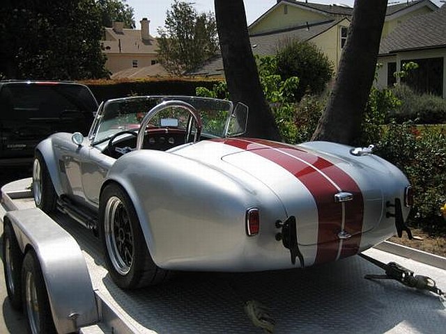 VSE Cobra Back from Paint