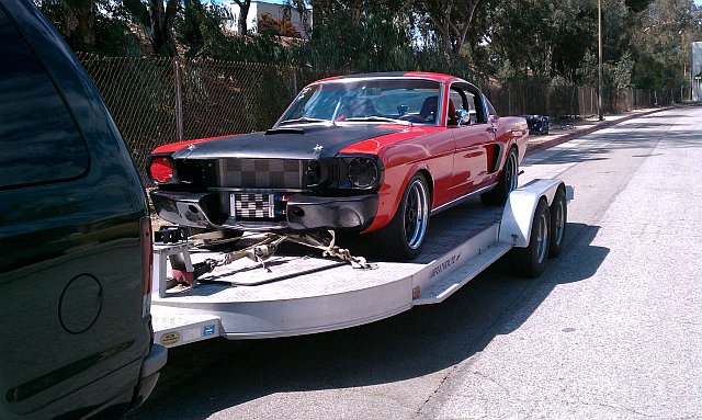 The Ripper getting ready for a run