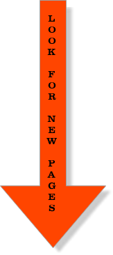 New Site Content Below